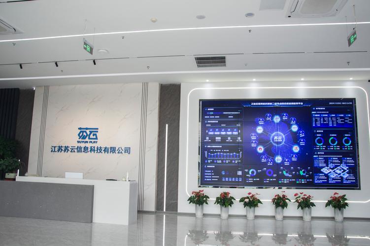 江苏苏云信息科技技术咨询 驱动企业数字化转型的专业力量